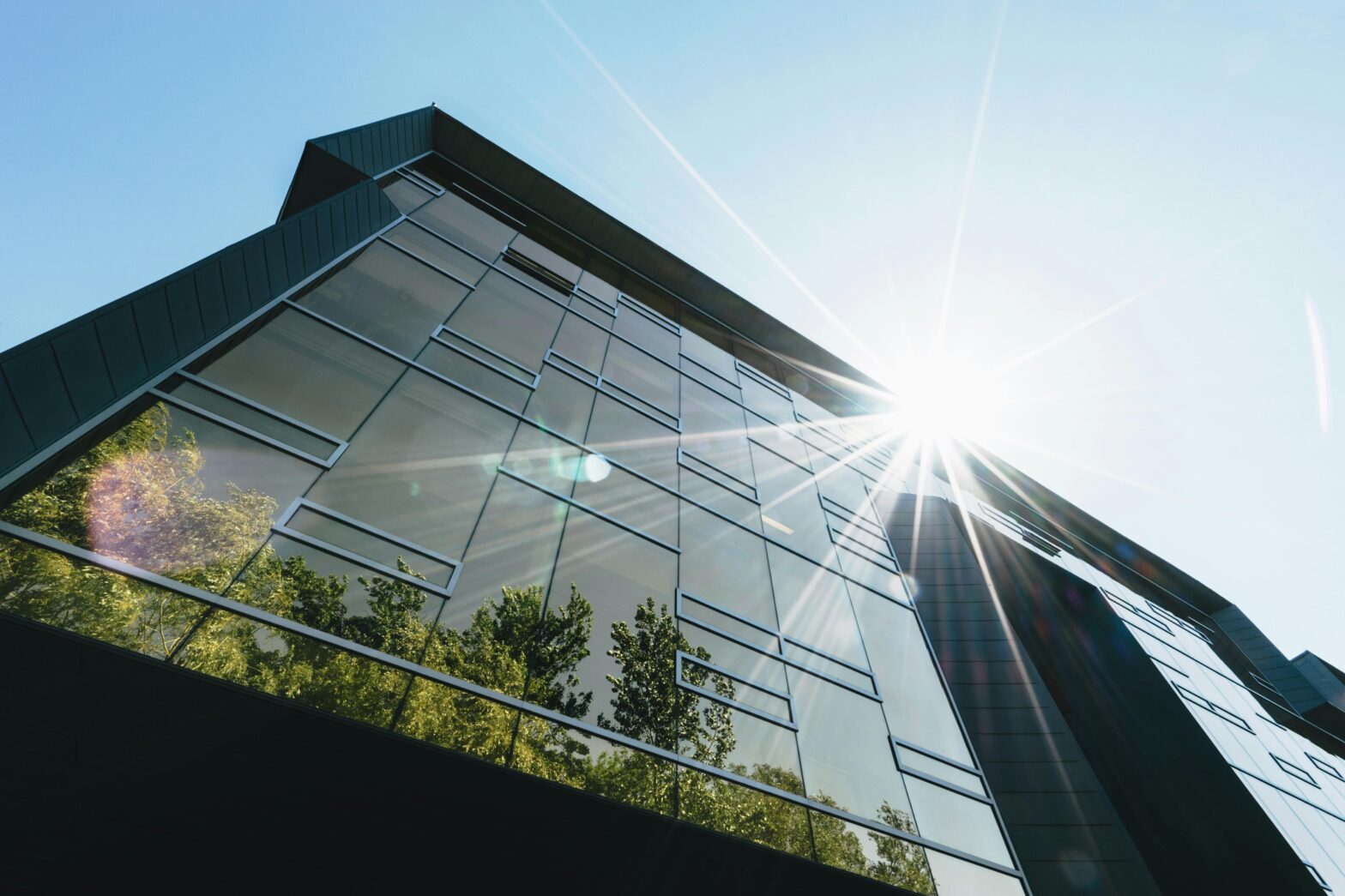 VertPro® Insights - Marching Towards a Greener Future