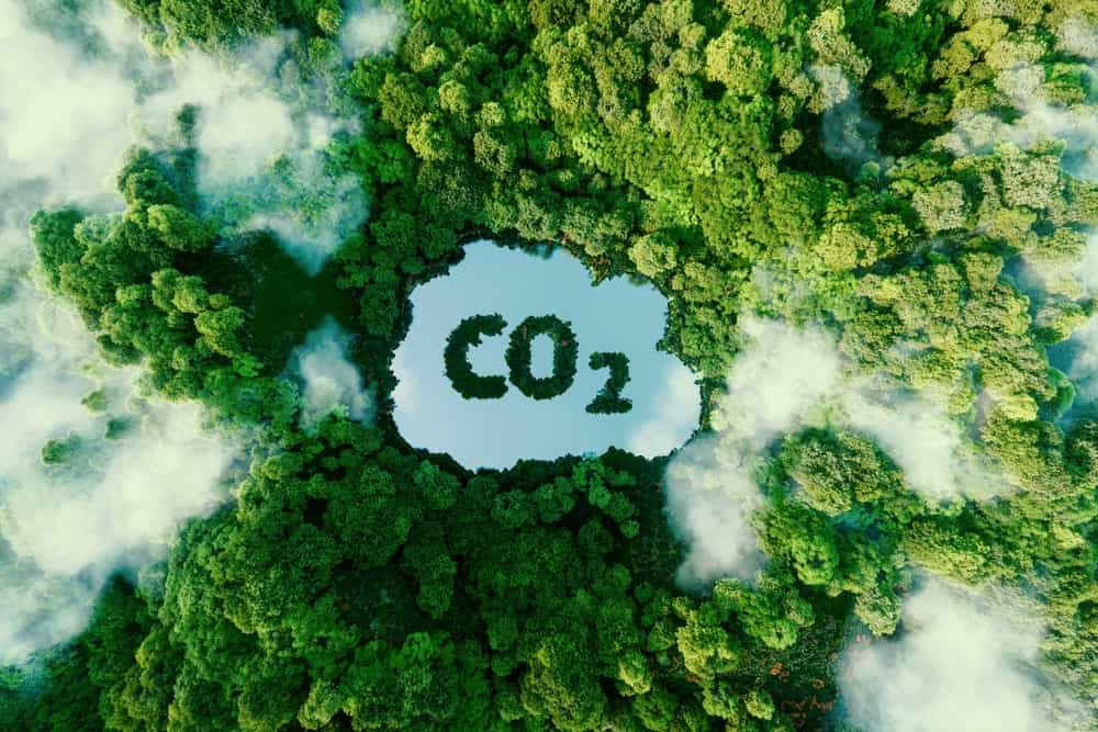 LL97 Emissions Reductions - VertPro®